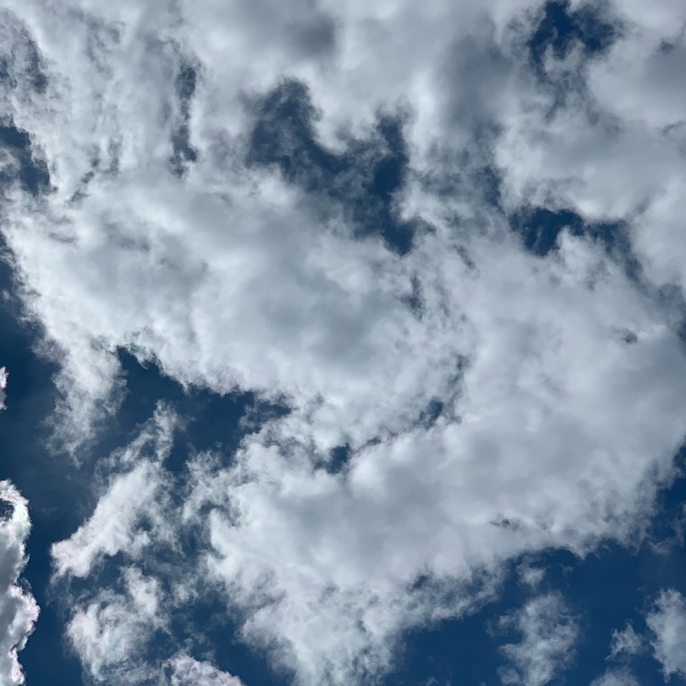 Meet your Posher, Adamarys